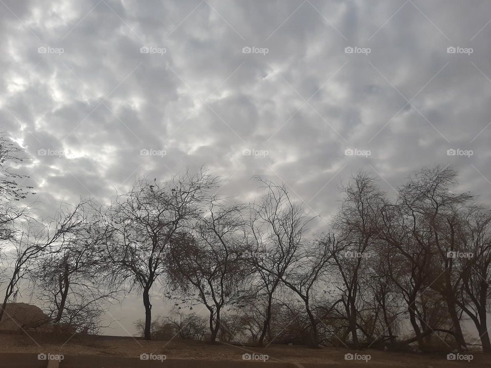 Please make me happy, I am poor, I need your help with support