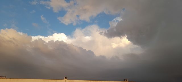 hoje