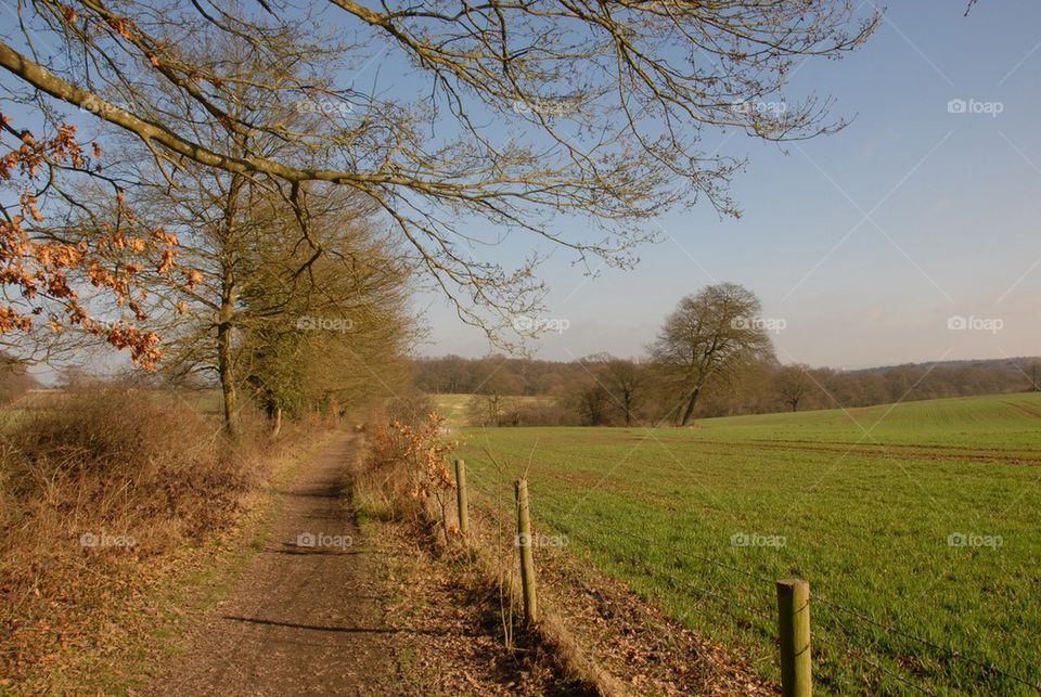 Empty footpath near the farm