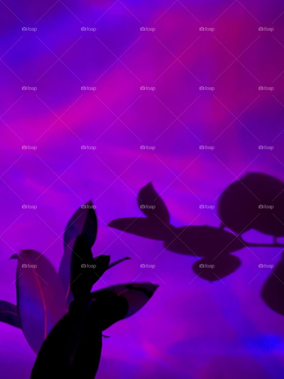 bright colors in minimalism