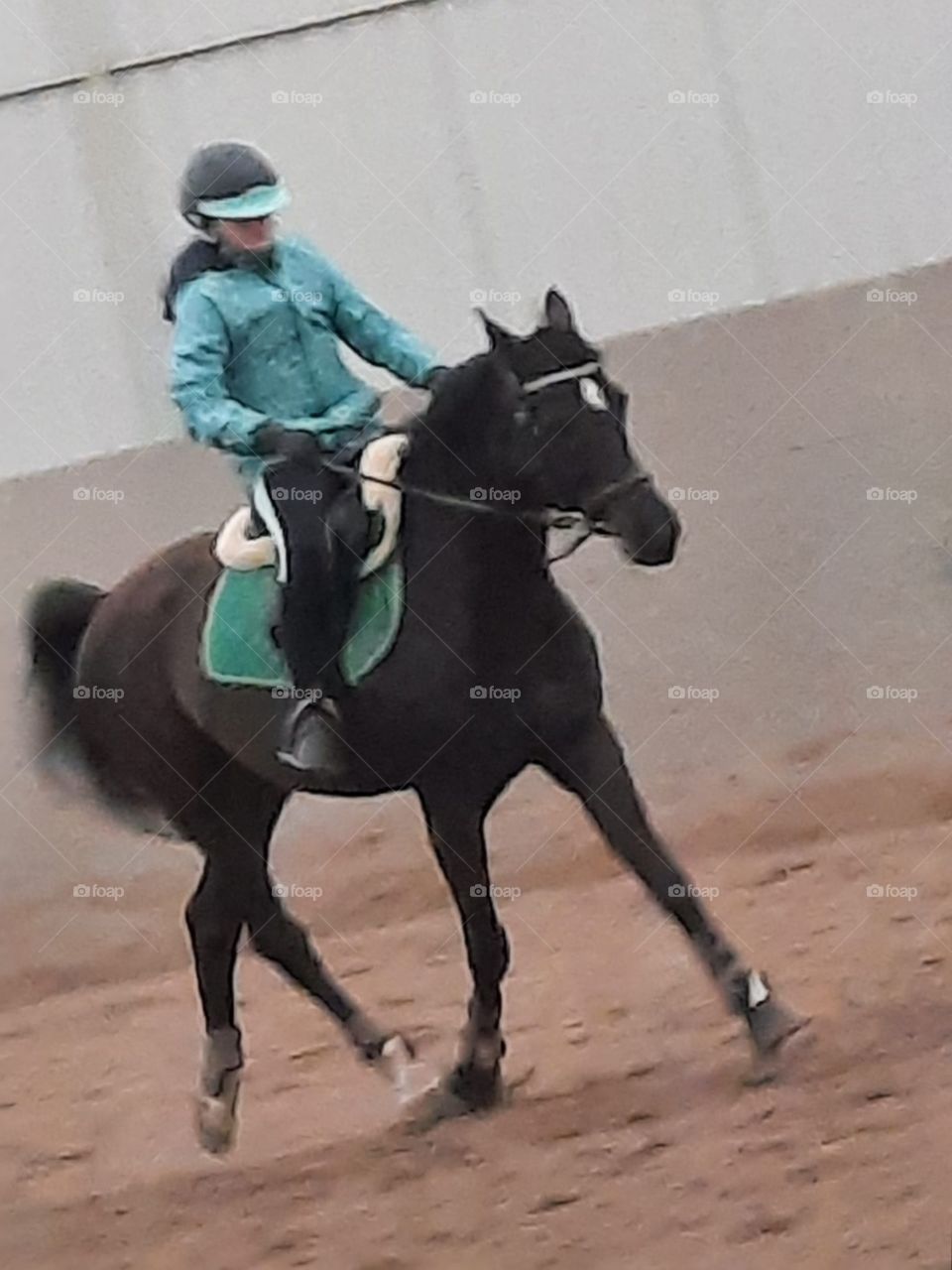 riding lesson  - young girl  and a horse