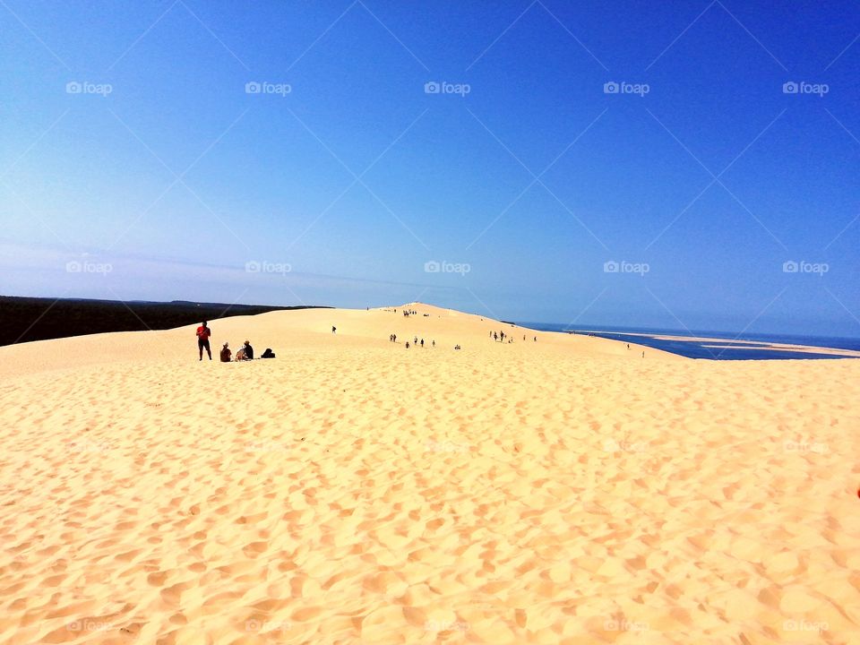 Between land and sea