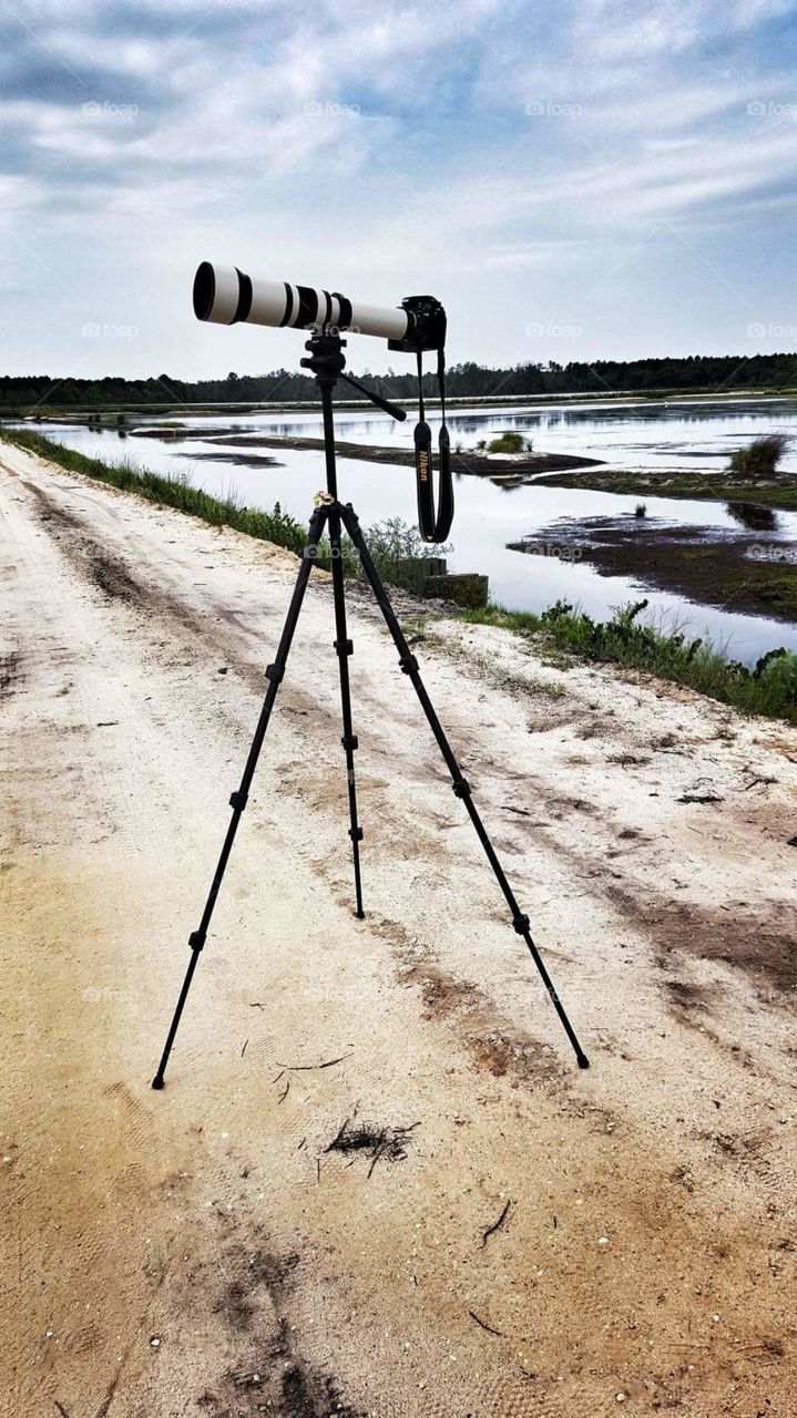 A tripod holds a camera with a large telephoto lens on a dirt ride with a body of water on one side. A cranberry bog