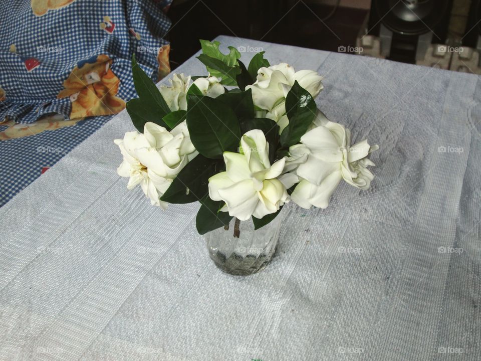 my white flowers vasess