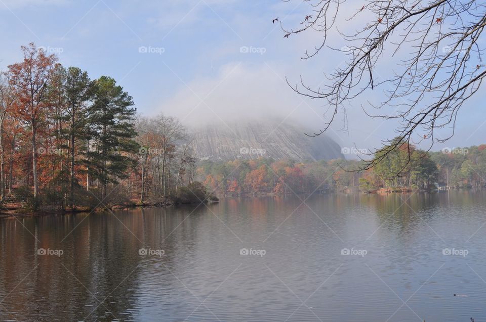 Thanksgiving Morning