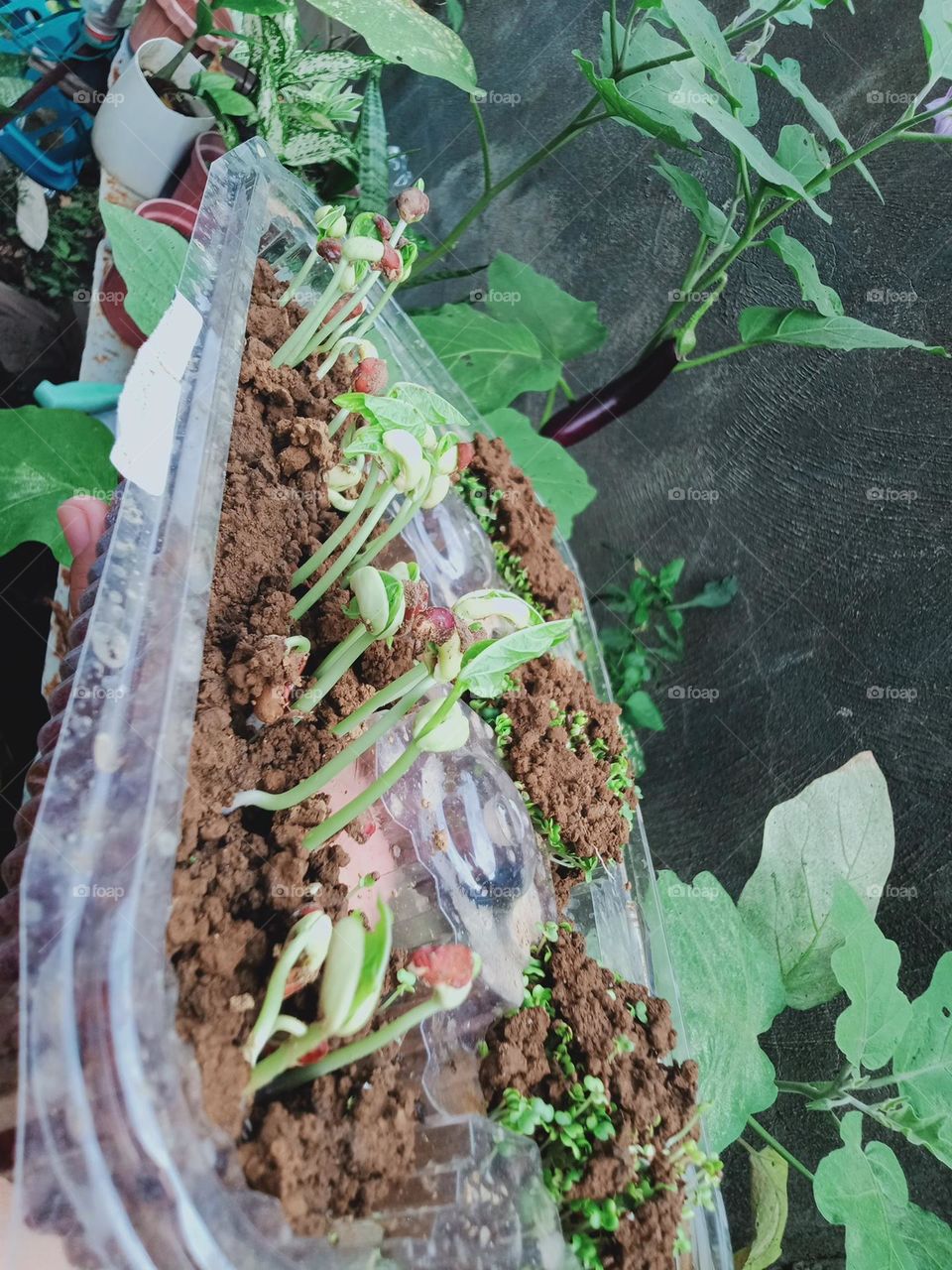 Earth Day is an annual event to demonstrate support for environmental protection and sustainable practices by this we learn to invest in our planet