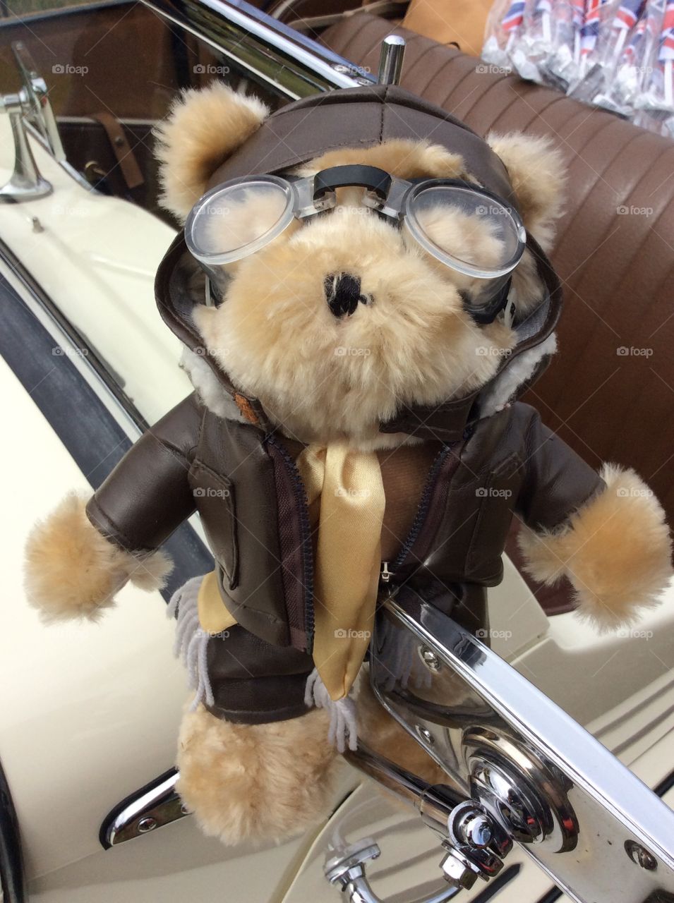 Mr. Teddy Bear