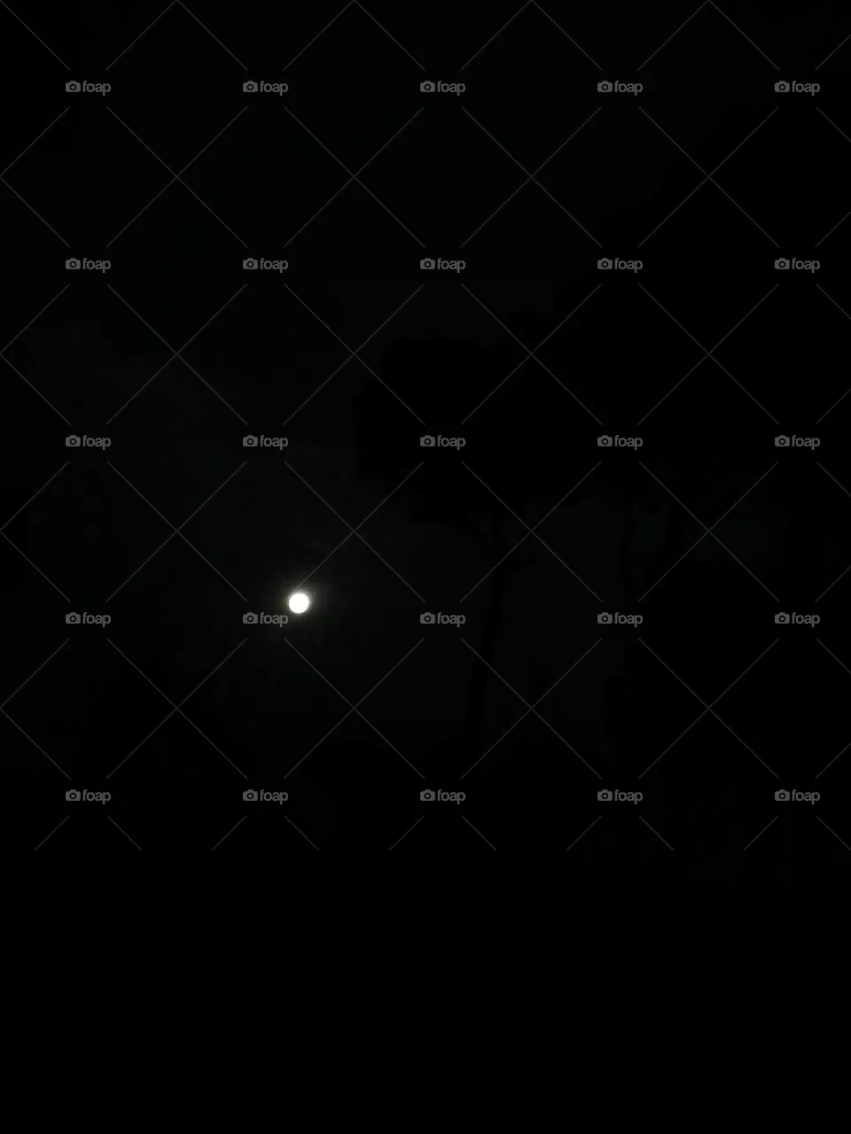 moon in the sky.