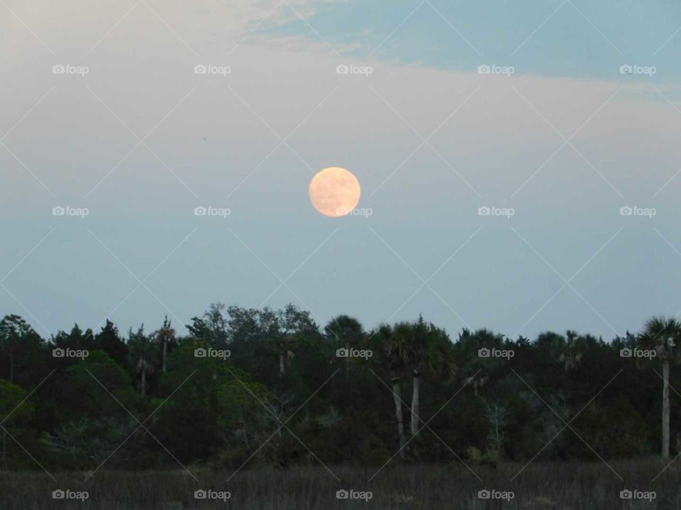 Blood Moon at Steinhatchee Fl