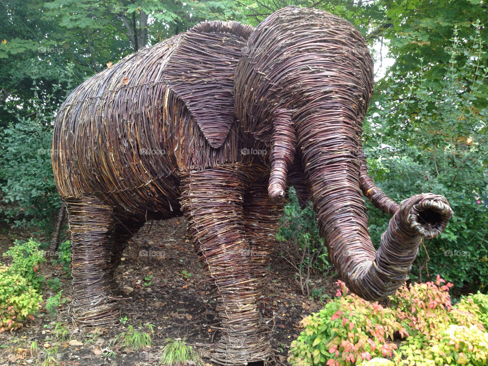 washington dc zoo landscape twigs elephant by walbam