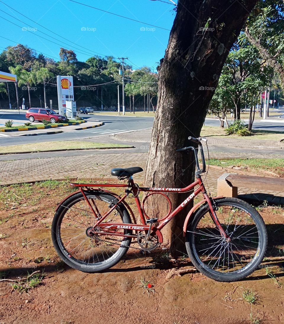 A bycicle left by a tree on a sunny day in a city