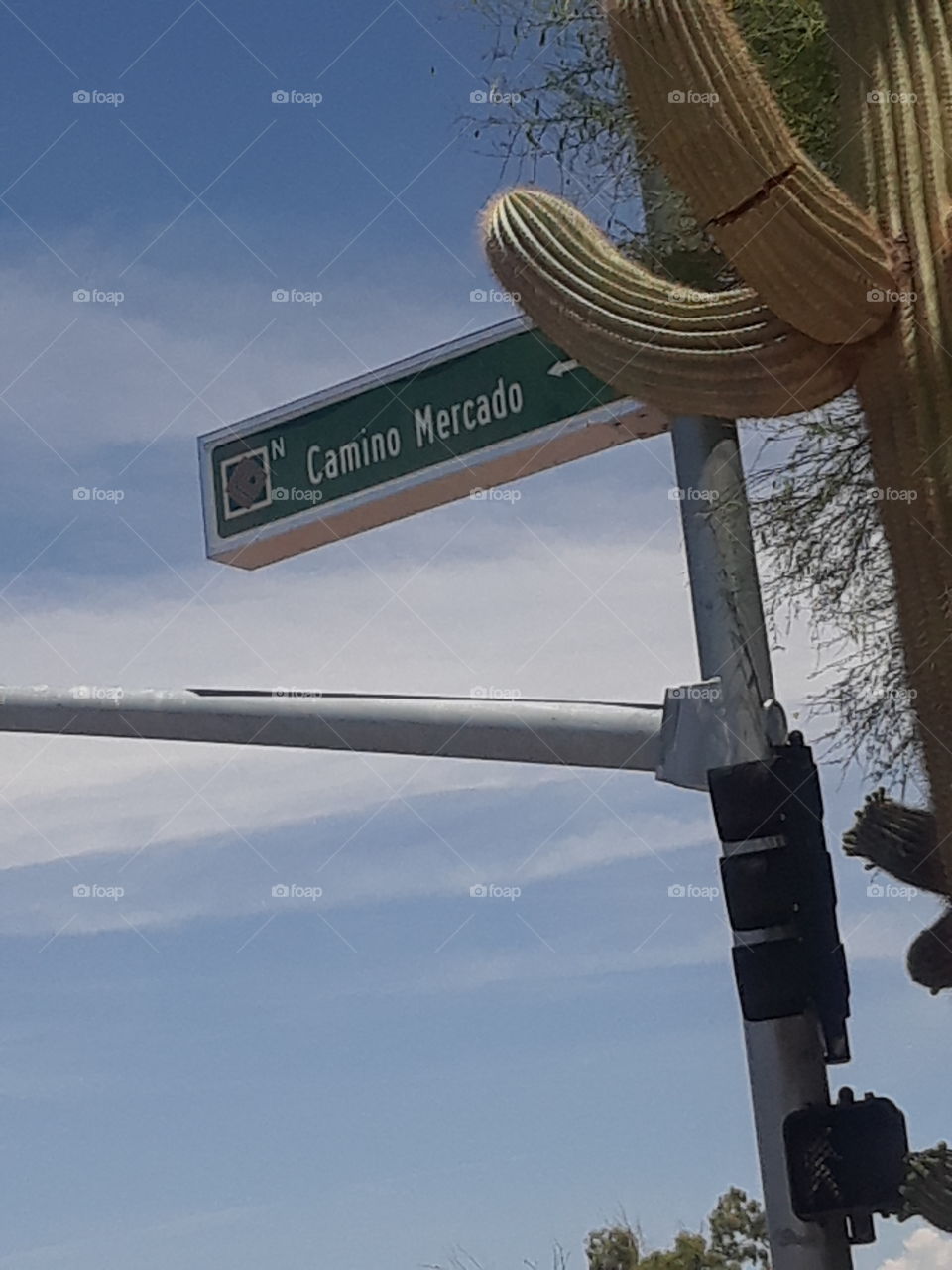 Street Names × Camino Mercado