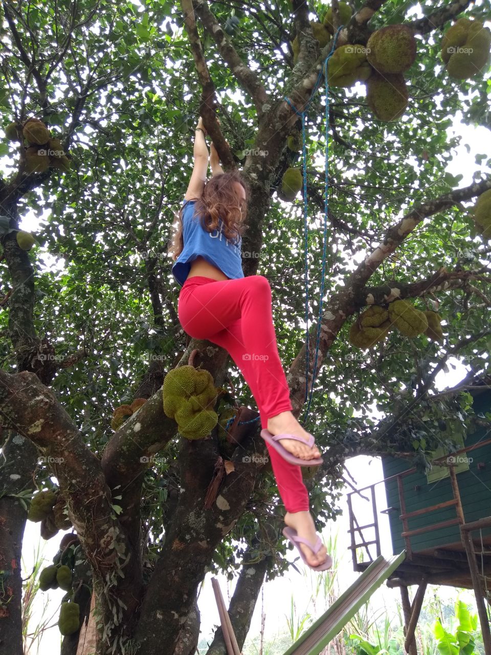 Girl playing on a jackfruit tree.