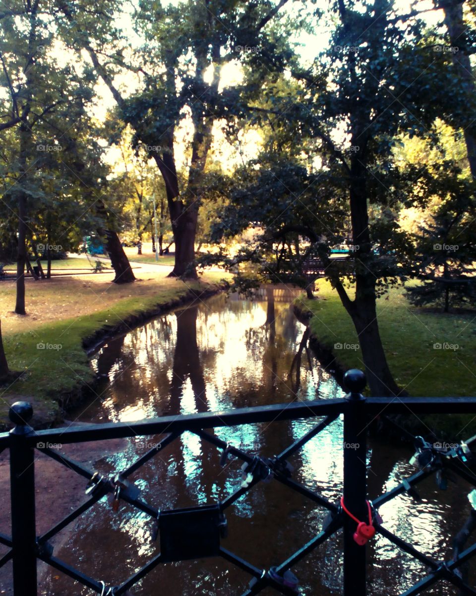 No Person, Tree, Outdoors, Landscape, Park