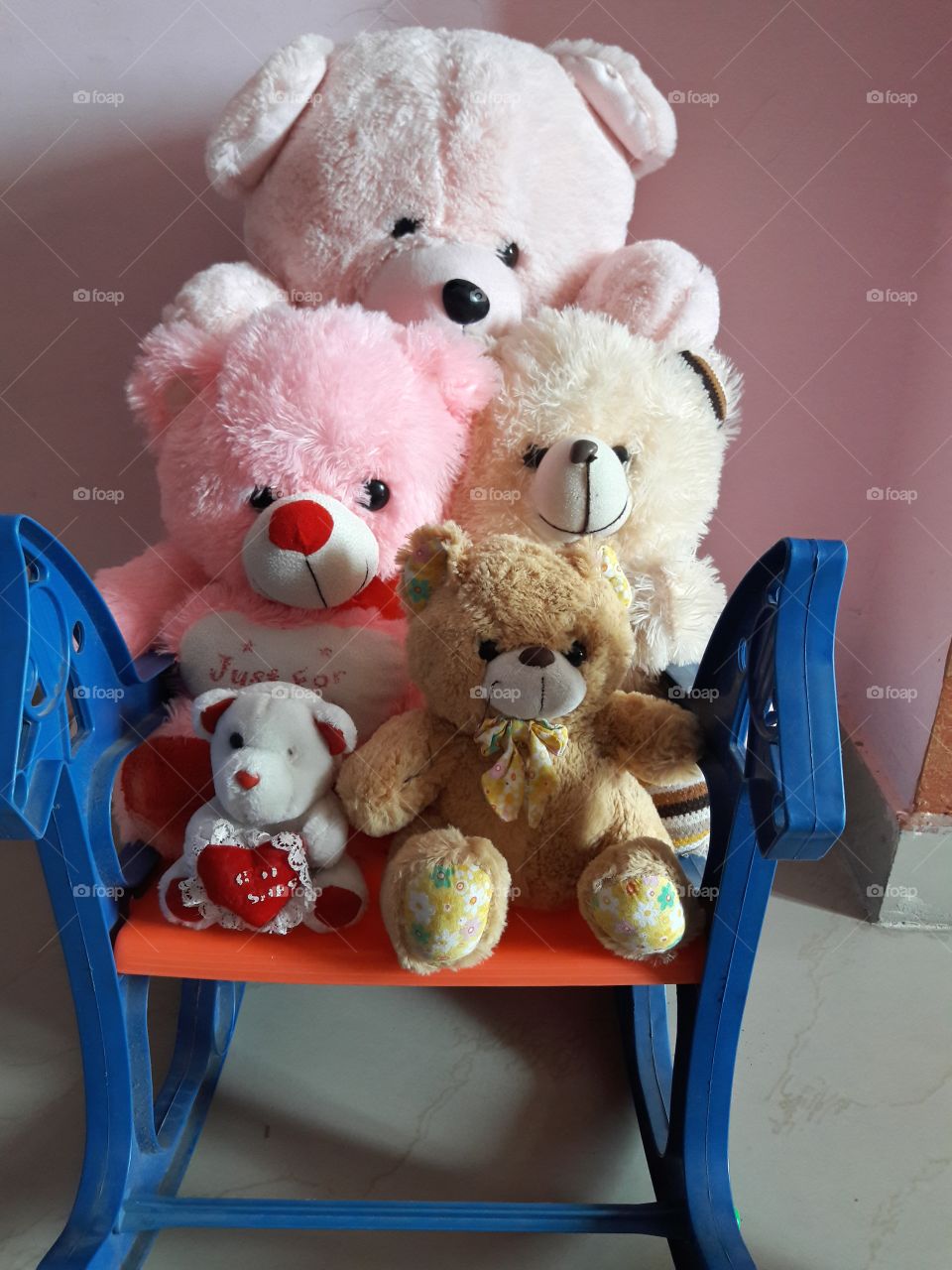 the teddy family 🙂🤗