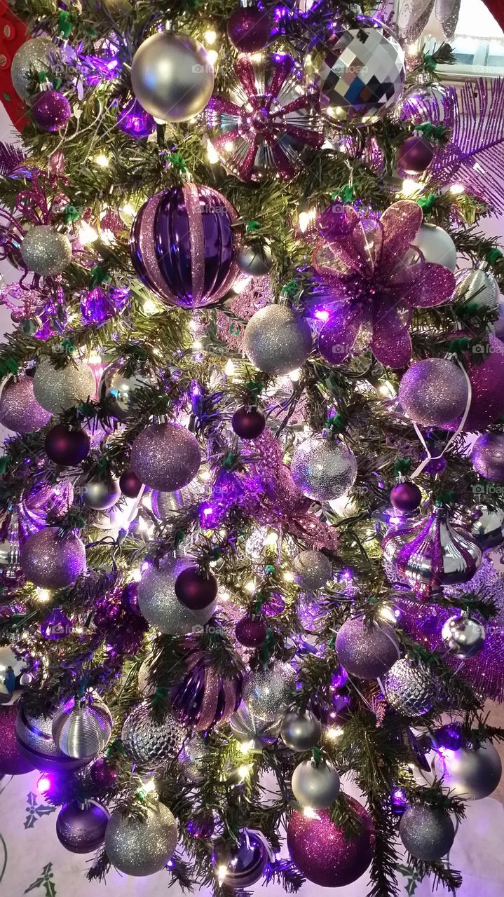 Purple and silver tree