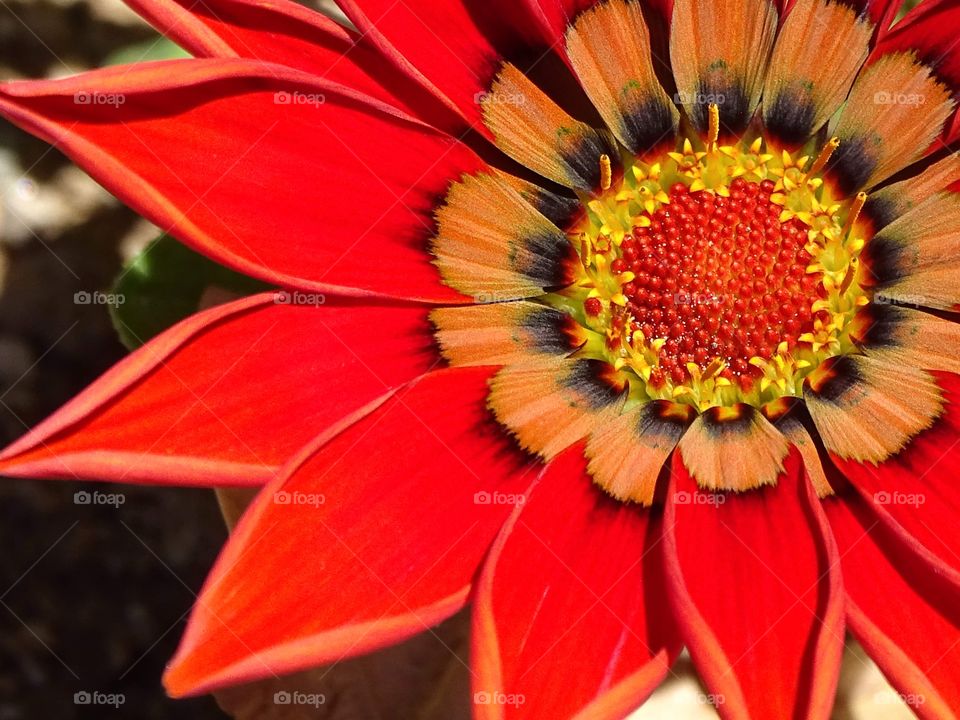 Things are better appreciated up close