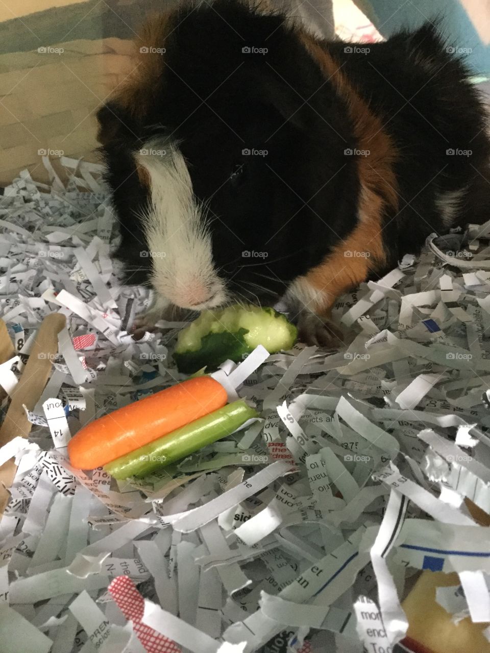 Medicine, No Person, Healthcare, One, People