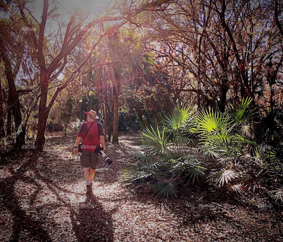 Photographer stopping to take a walk through the forest after a long road trip.