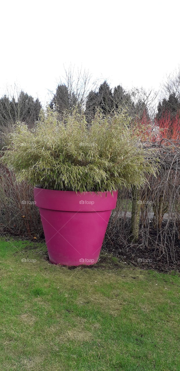 pot de fleurs géant