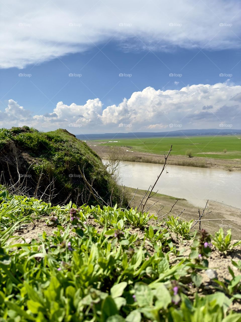 River view from the top of the hill 
