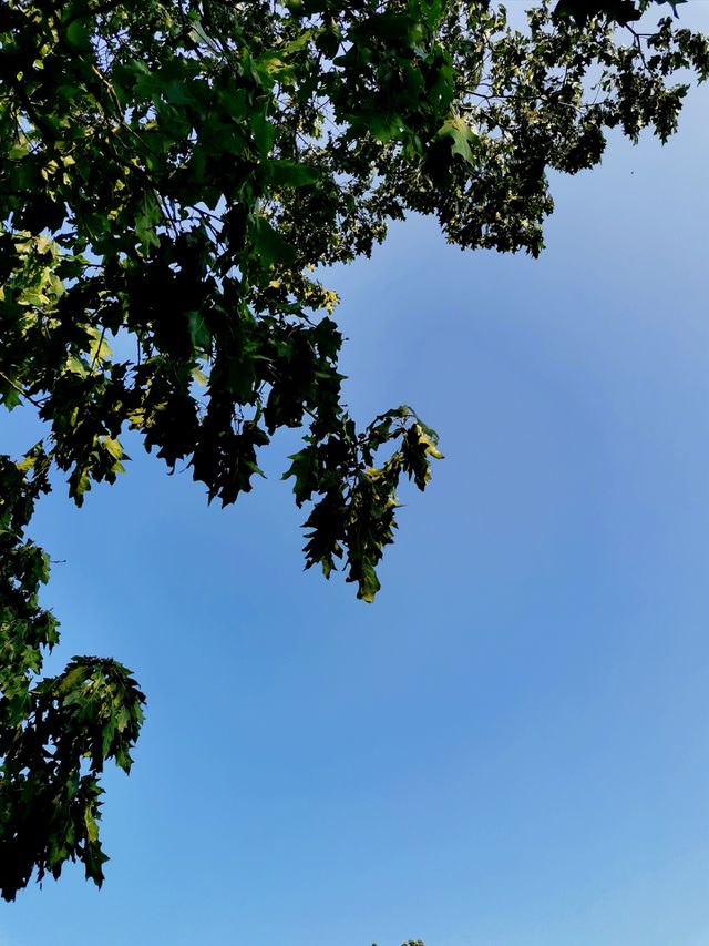 Clear day
