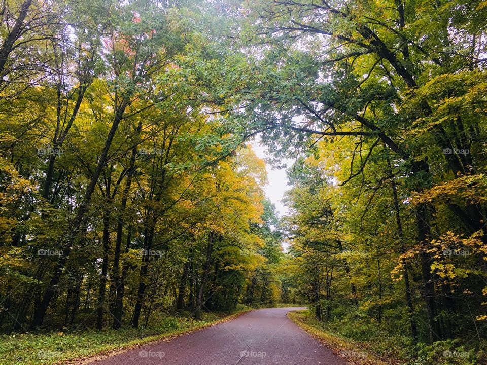 Fall is Upon Us - on a rustic back road in Wisconsin, USA