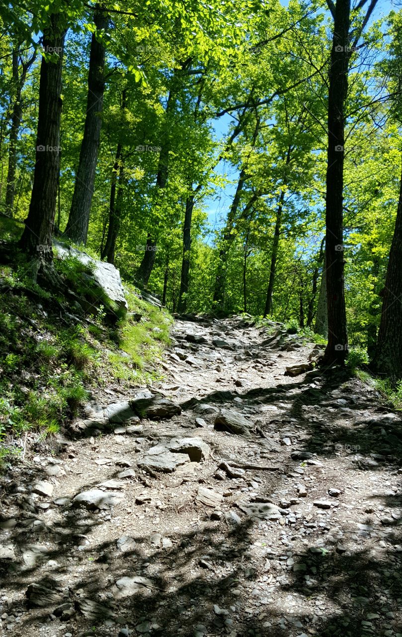 Hiking trails