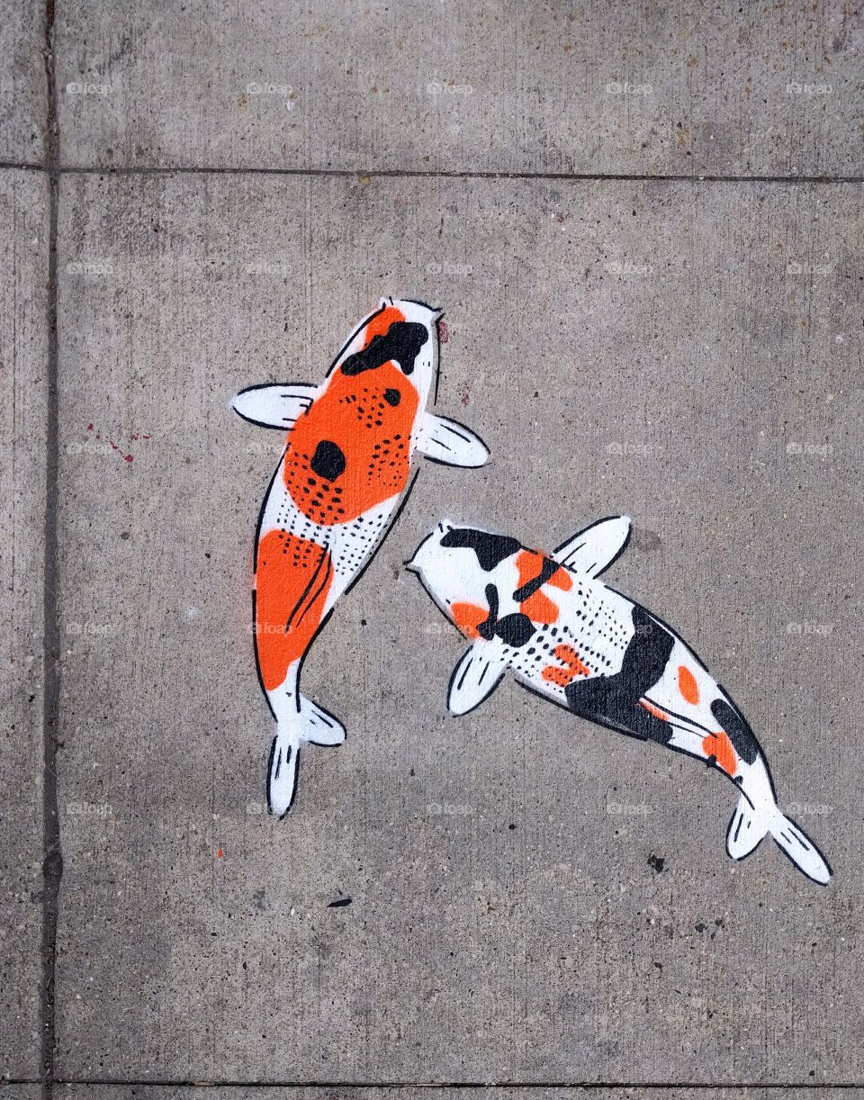 Sidewalk Koi