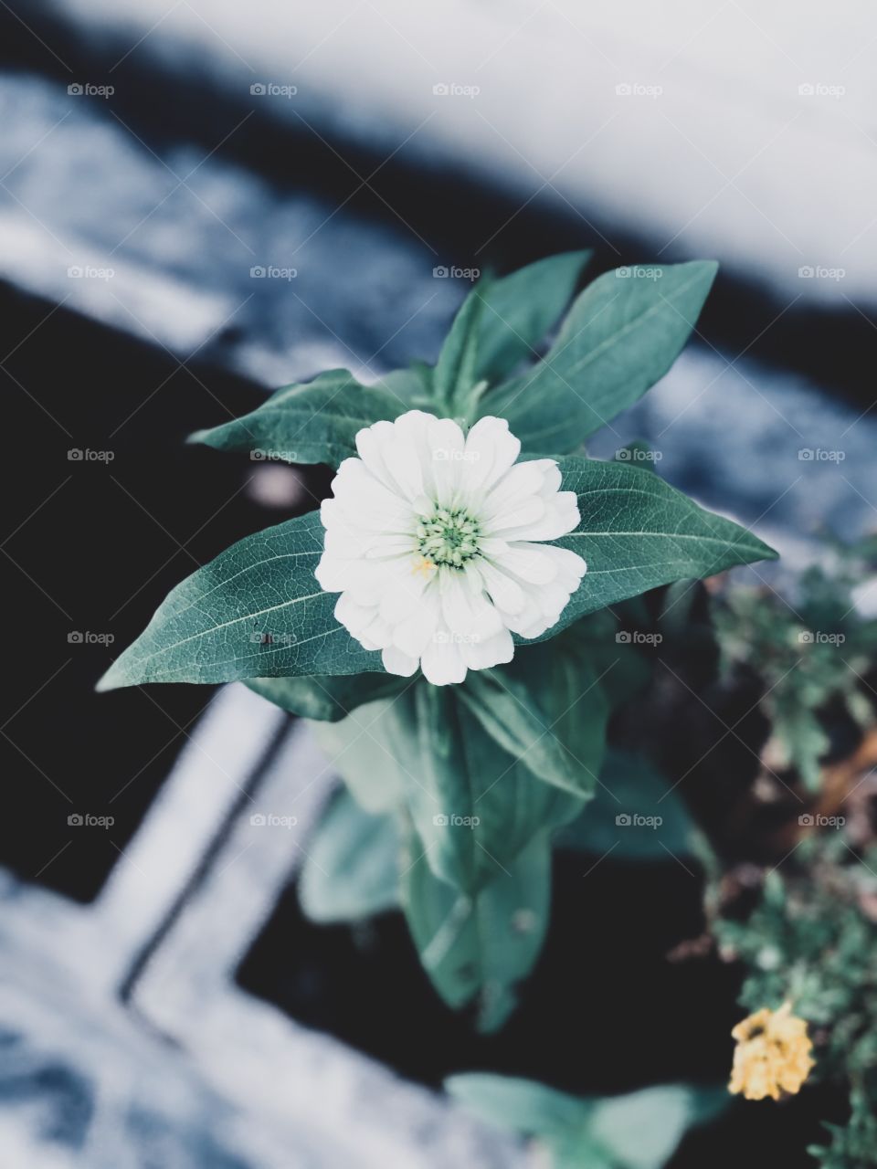 Sometimes it”s very hard to move on, but once you move on, you”ll realize it was the best decision you”ve ever made. 