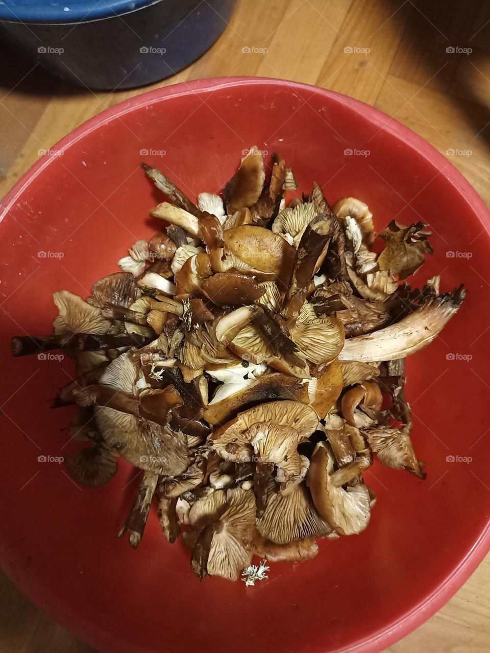 Mushrooms in a bowl