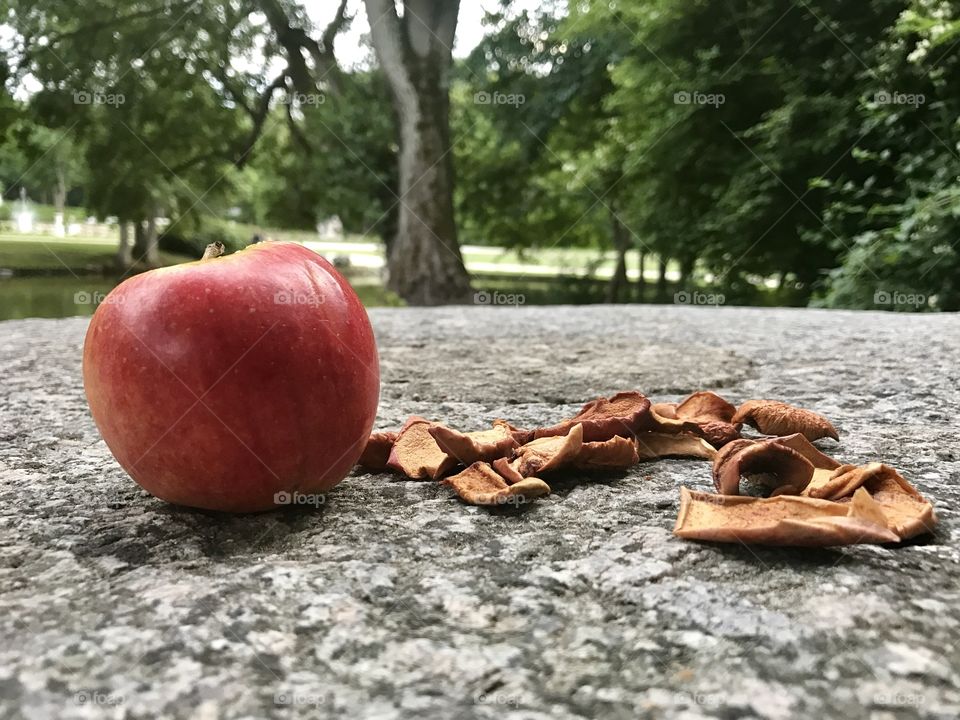 Fresh red apple and dried apples slices 