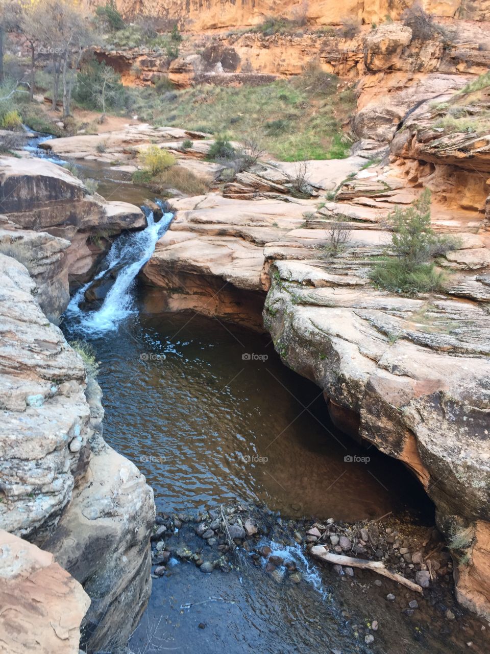 Swimming hole