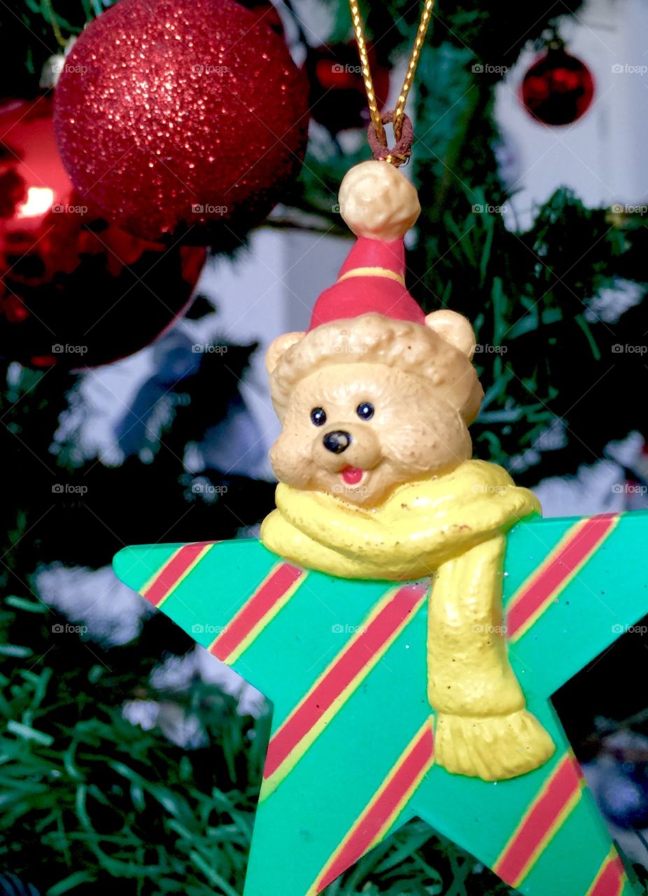 Christmas bear star
