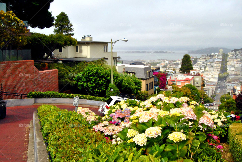 Crooked street, San Francisco, California