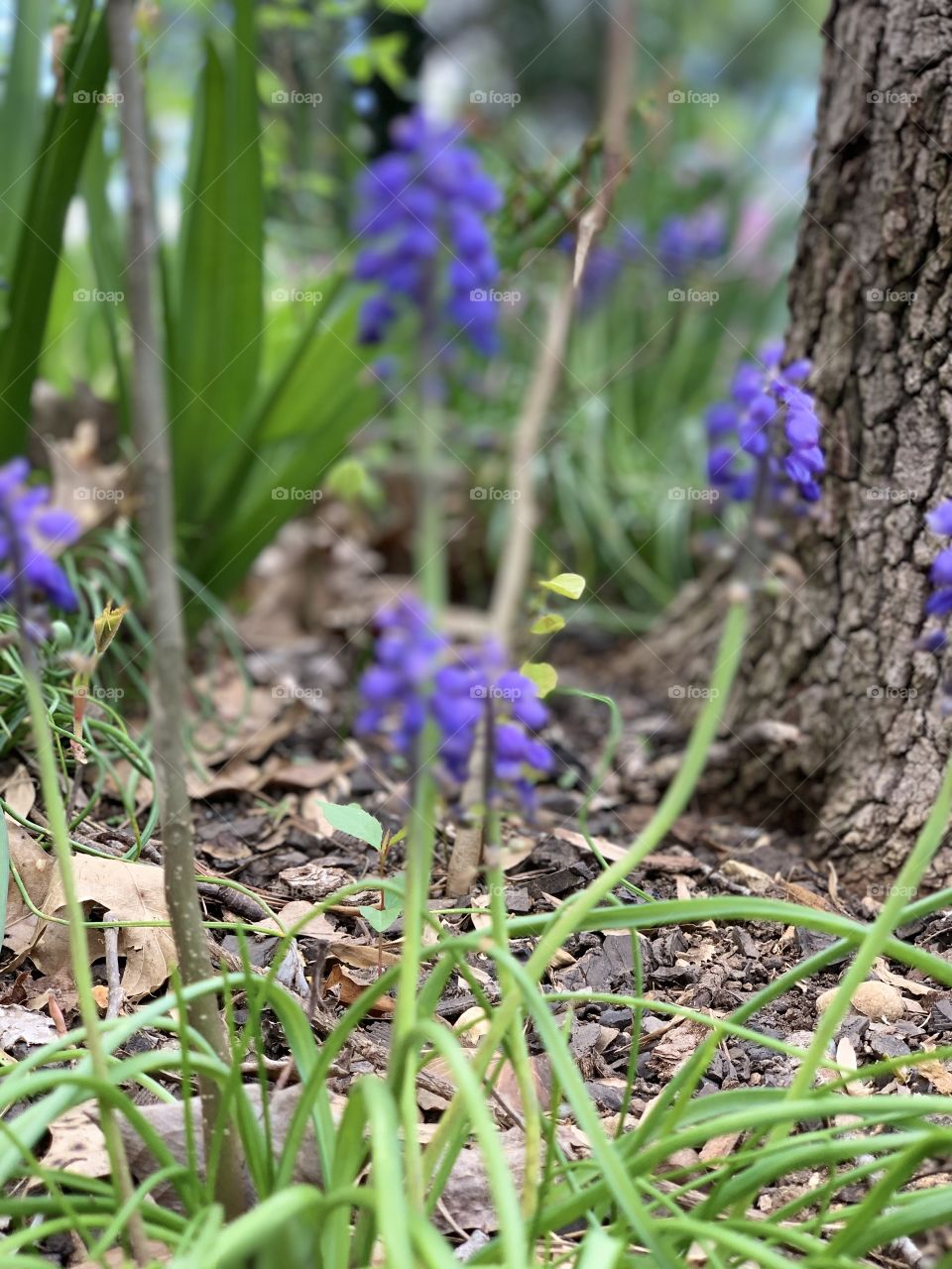 Spring is in the air 