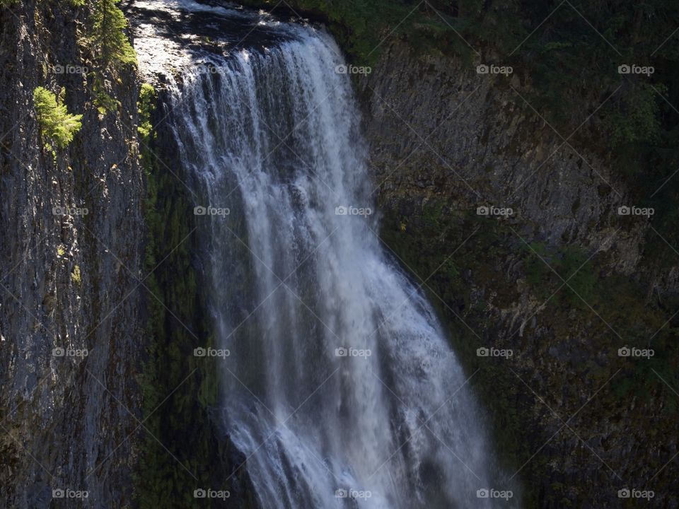 The magnificent Salt Creek Falls tumbling over a cliff in the forests of Oregon on a sunny fall day. 