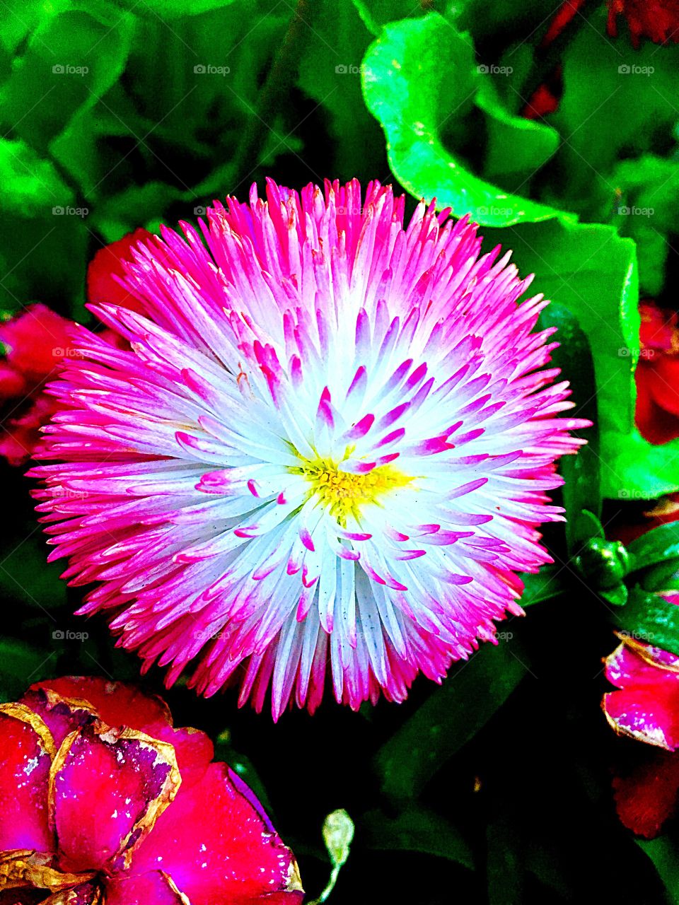 Captured with iPhone 6s Plus 