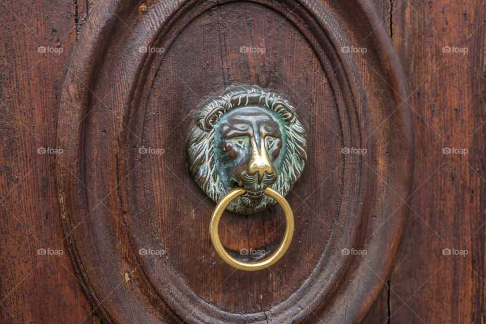 Lion door decoration