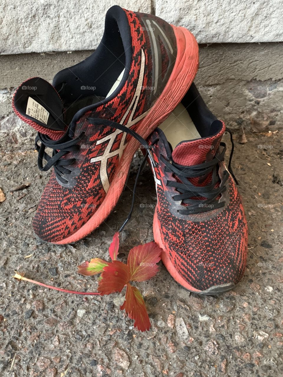 Red shoes and red leaf