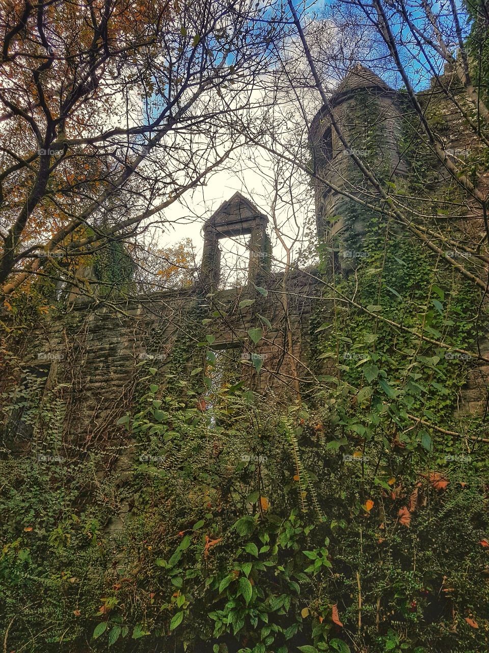 Castle ruins