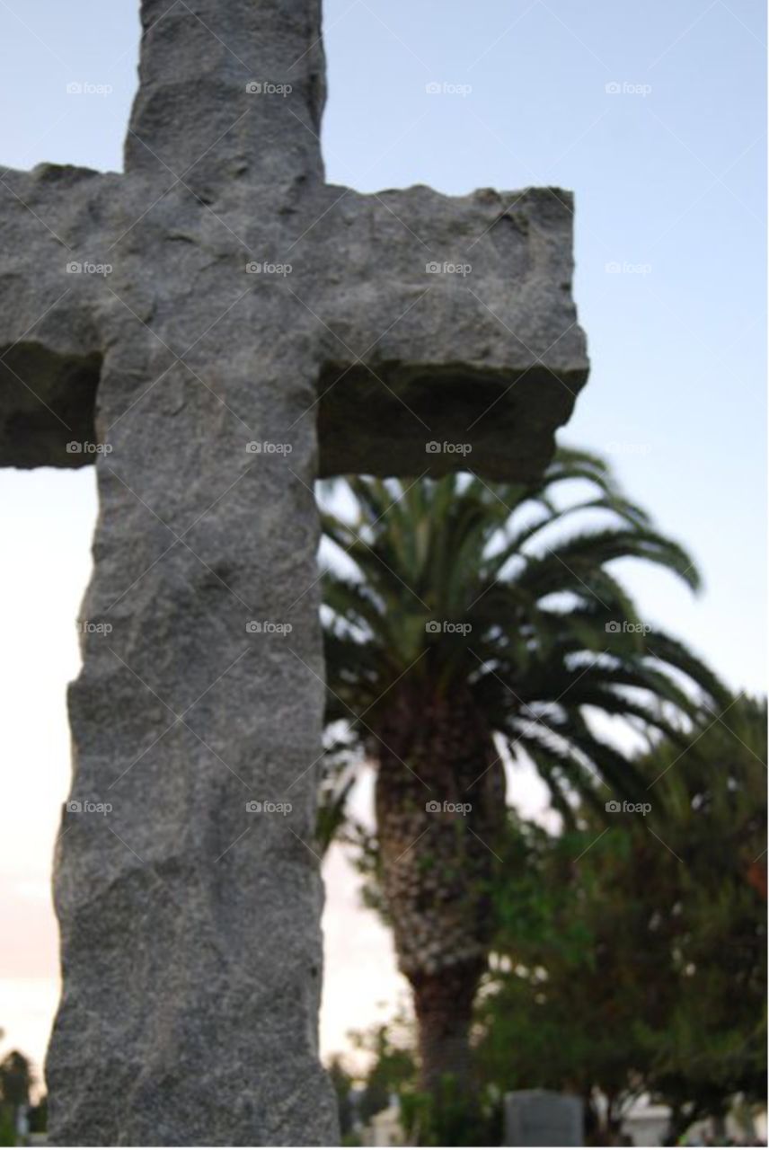 cross headstone and palm trees