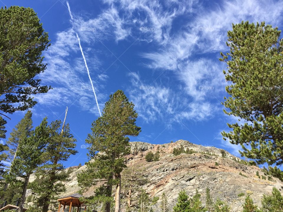 Looking up in mountain