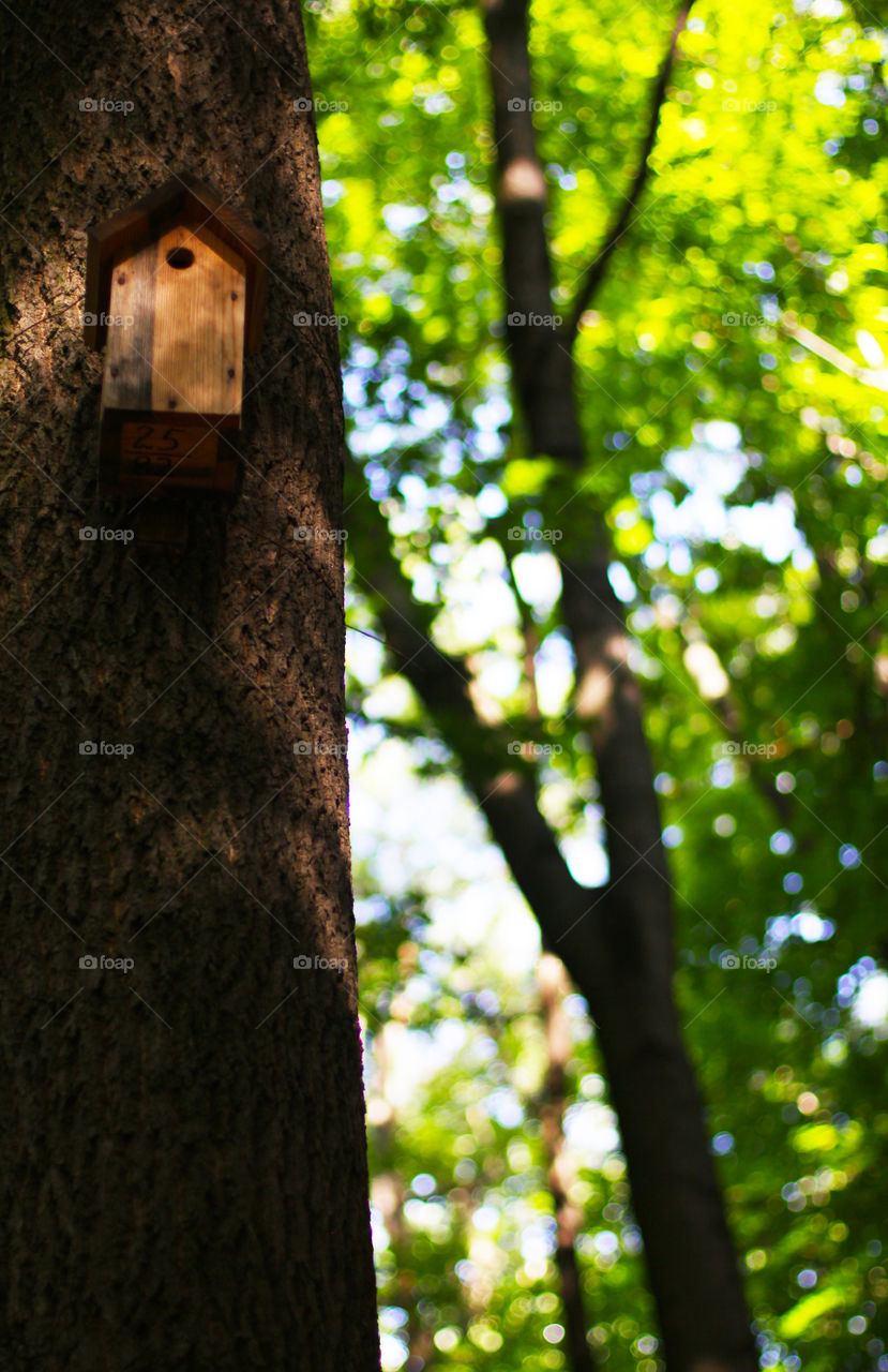 A birdhouse 