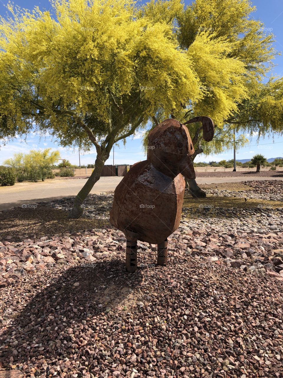 Quail and Pali Verde