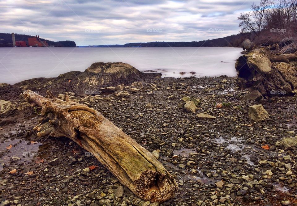 Driftwood on the Hudson River 