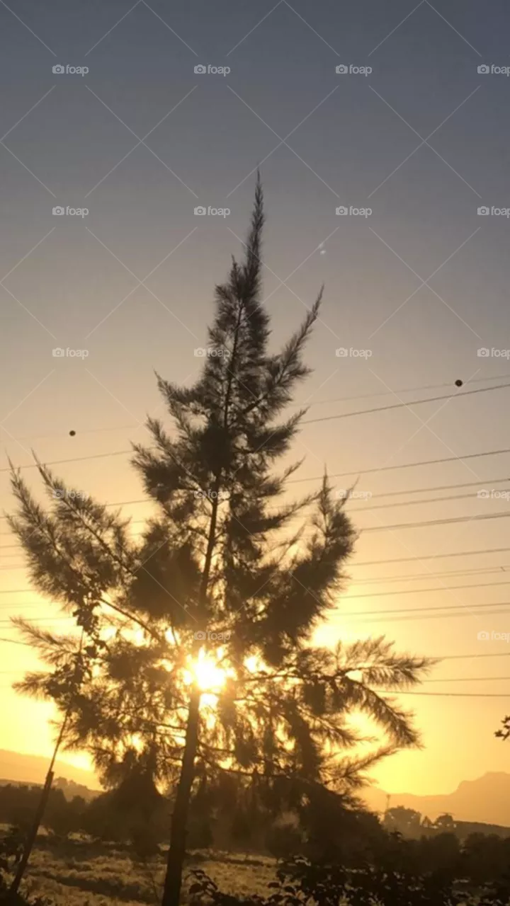 Sunset 