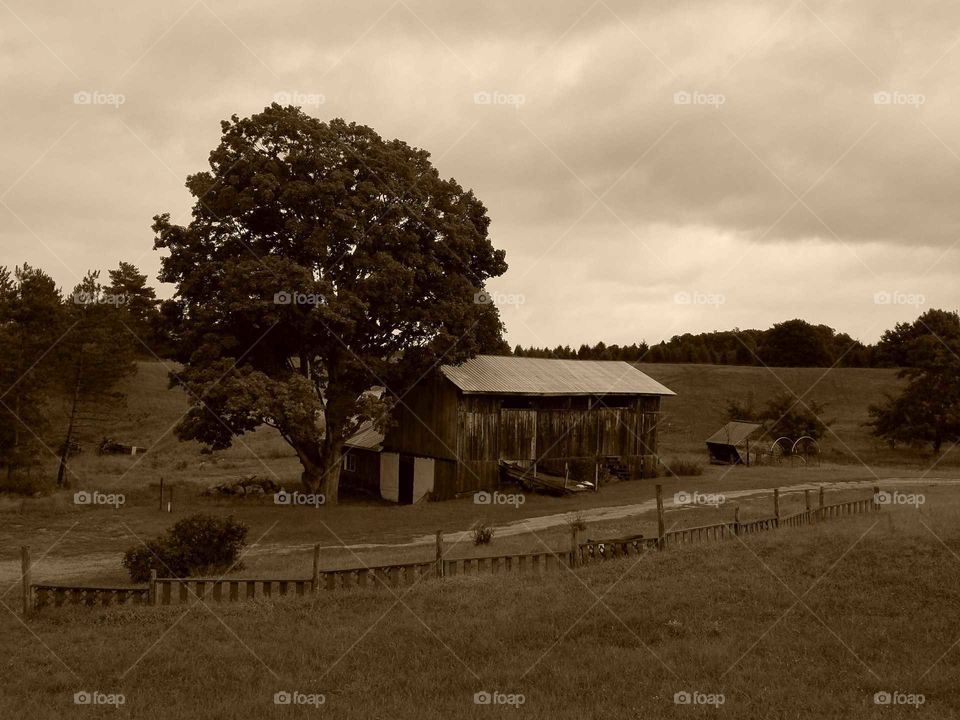 Rustic Barn