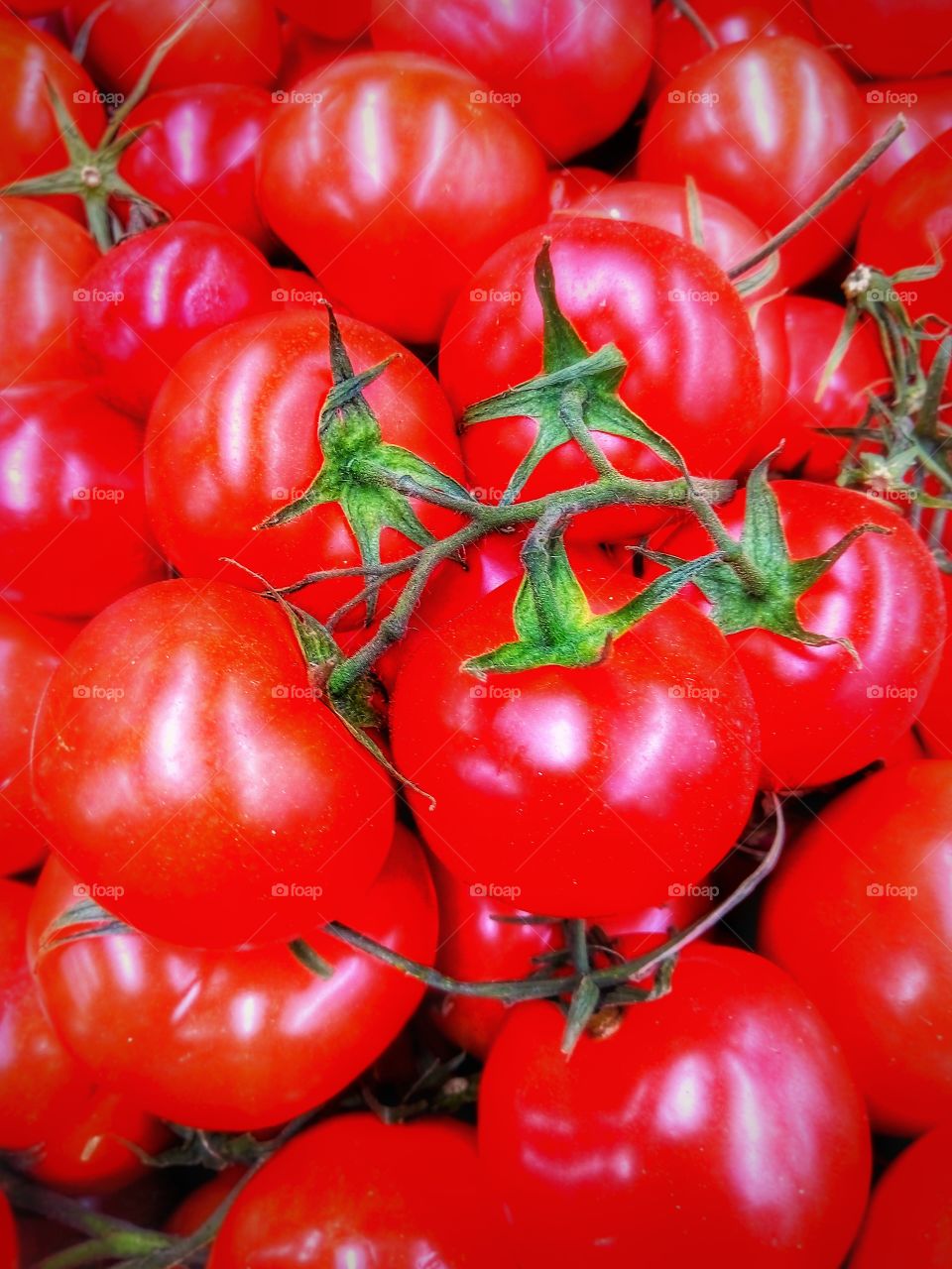 томаты.помидоры.красные.