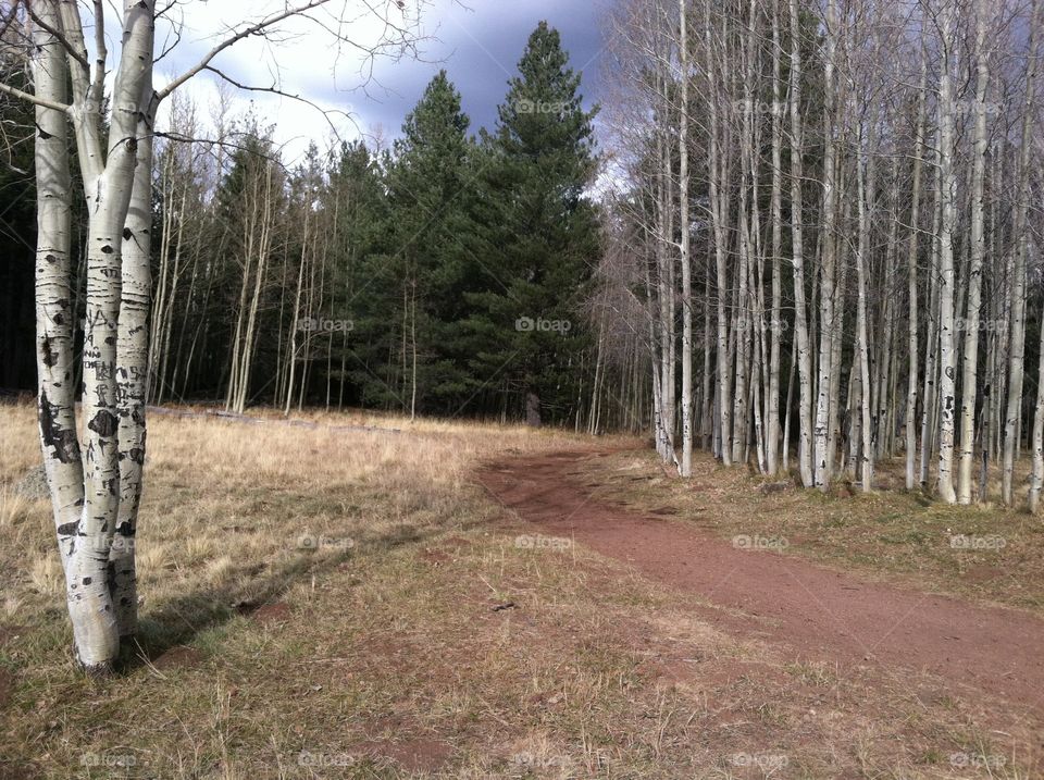 Near Flagstaff Arizona 